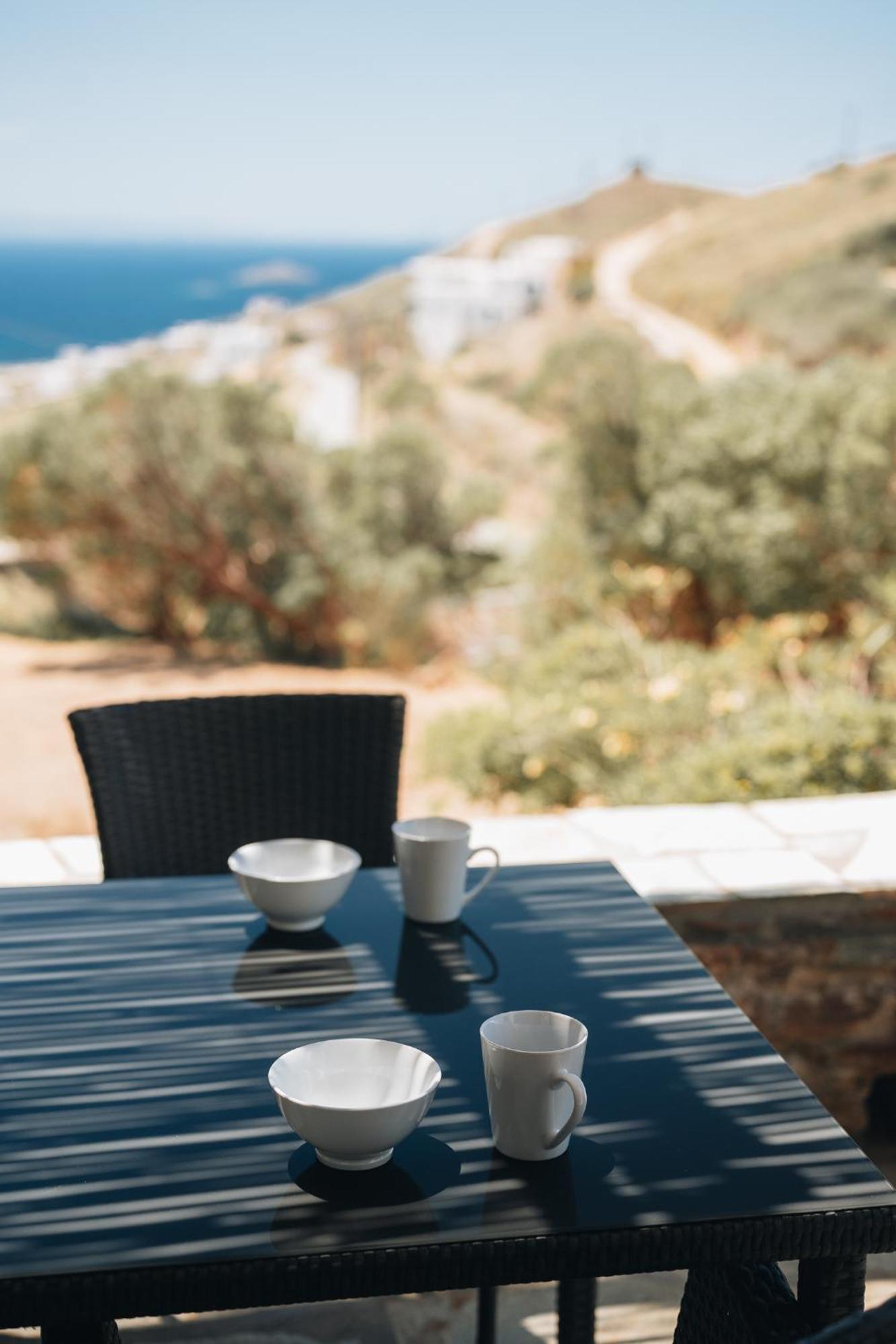 Villa Il Paradiso Andros Γαύριο Δωμάτιο φωτογραφία
