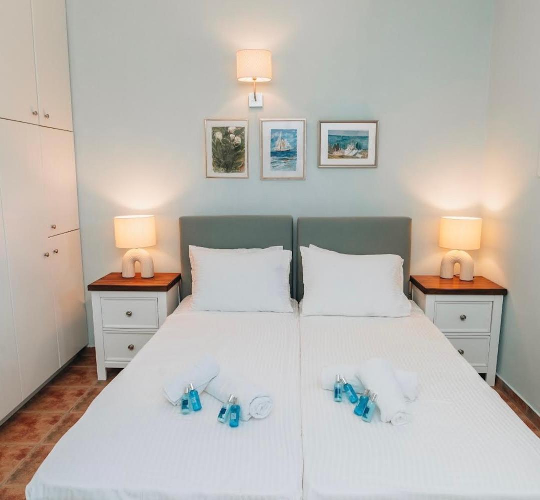 Villa Il Paradiso Andros Γαύριο Εξωτερικό φωτογραφία